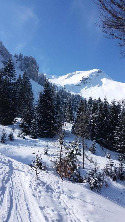 Ferienwohnung mit wundervollen Bergblick Lenggries Exterior foto